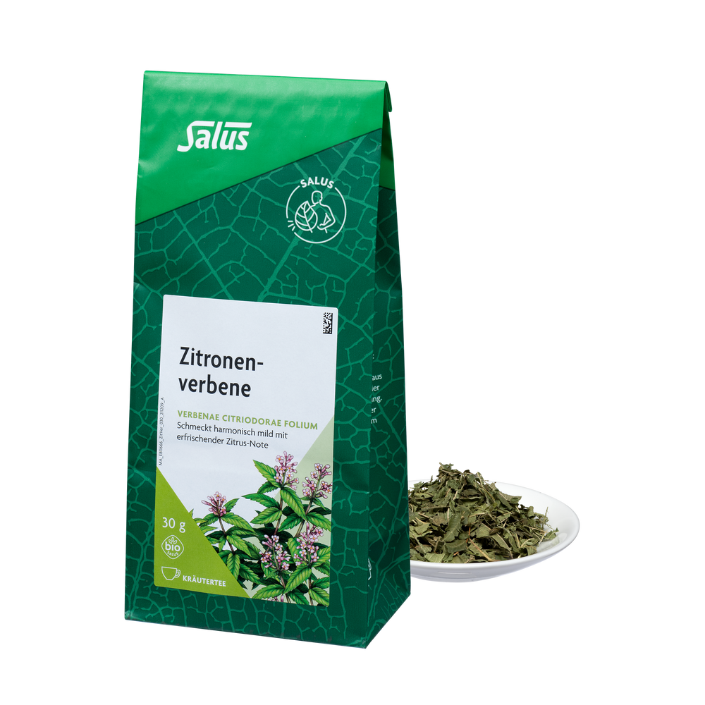 Zitronenverbene - Salus Zitronenverbene - Salus