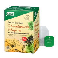 Salus Tee aus aller Welt Marokkanische Minzoase