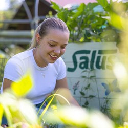Unser neues Azubi-Beet