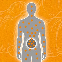 Curcumin