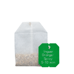 Salus Gourmet Tee Ingwer Orange-Spicy