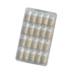 Salus Neuro Memorise Bacopa monnieri