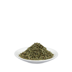 Salus Zinnkraut