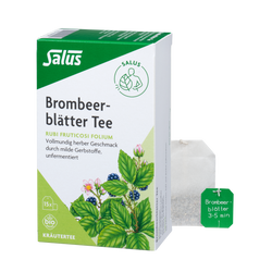 Salus Brombeerblätter