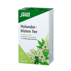 Salus Holunderblüten