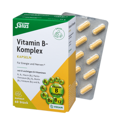 Salus Vitamin-B-Komplex Kapseln