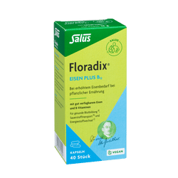 Salus Floradix Eisen plus B12