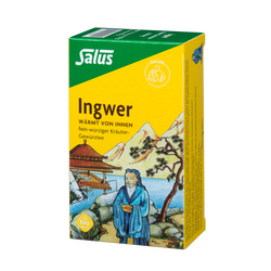 Salus Ingwer