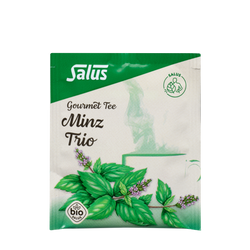 Salus Gourmet Tee Minz Trio
