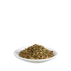 Salus Fenchel