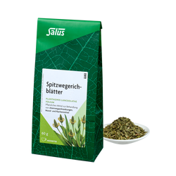 Salus Spitzwegerichblätter