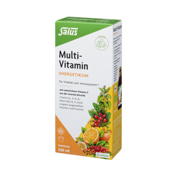 Salus Multi-Vitamin Energetikum
