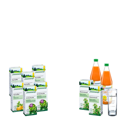 Schoenenberger Schlankheits-Kur „Möhre-Mango“