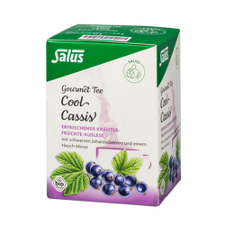 Salus Gourmet Tee Cool Cassis