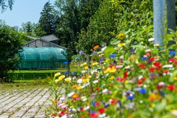 57 % naturnahe Flächen