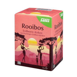 Salus Rooibos Erdbeere-Kokos