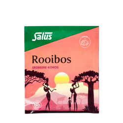Salus Rooibos Erdbeere-Kokos