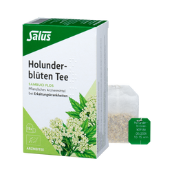 Salus Holunderblüten