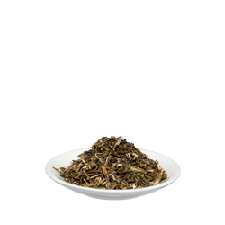 Salus Kleinblütiges Weidenröschen