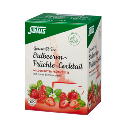 Salus Gourmet Tee Erdbeeren Früchte-Cocktail