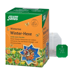 Salus Winter-Hexe