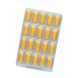 Salus Curcumin 202 Bioaktiv