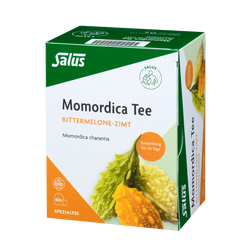 Salus Momordica Tee, Bittermelone-Zimt