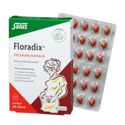 Salus Floradix Folsäure-Kapseln