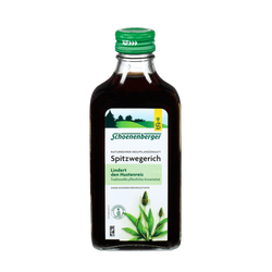 Schoenenberger Spitzwegerich