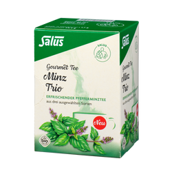 Salus Gourmet Tee Minz Trio