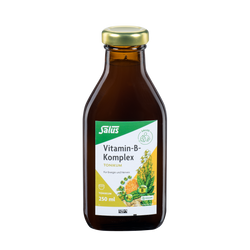 Salus Vitamin-B-Komplex