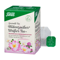 Salus Gourmet Tee Blütenzauber Weißer Tee