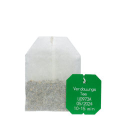 Salus Verdauungs-Tee