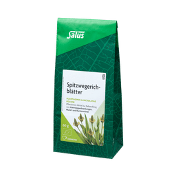Salus Spitzwegerichblätter