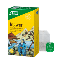 Salus Ingwer