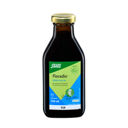 Salus Floradix Eisen plus B12