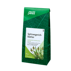 Salus Spitzwegerichblätter
