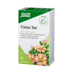 Salus Cistus