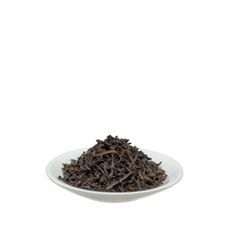 Salus Assam