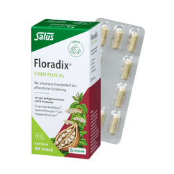 Salus Floradix Eisen plus B12