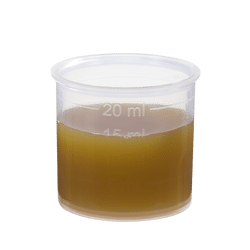 Schoenenberger Birke