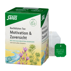Salus Bachblüten Tee Motivation & Zuversicht