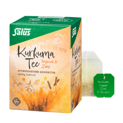Salus Kurkuma Tee Ingwer & Zimt