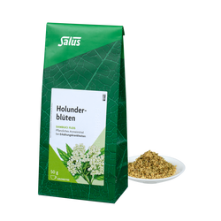 Salus Holunderblüten