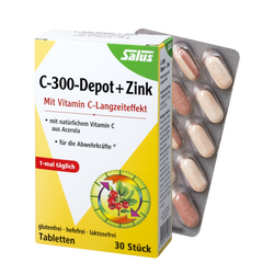 Salus C-300-Depot + Zink