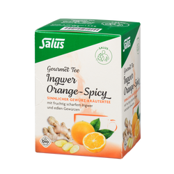 Salus Gourmet Tee Ingwer Orange-Spicy
