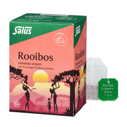 Salus Rooibos Erdbeere-Kokos