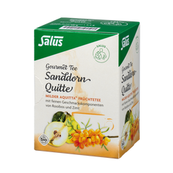 Salus Gourmet Tee Sanddorn Quitte