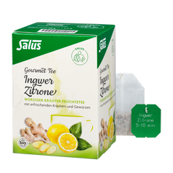 Salus Gourmet Tee Ingwer Zitrone