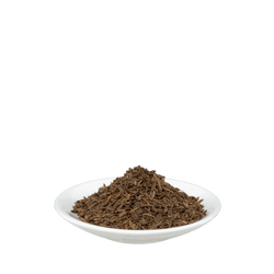 Salus Kümmel